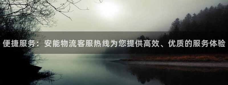 旺财28官网平台：便捷服务：安能物流
