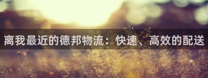 旺财28加拿大技巧：离我最近的德邦物