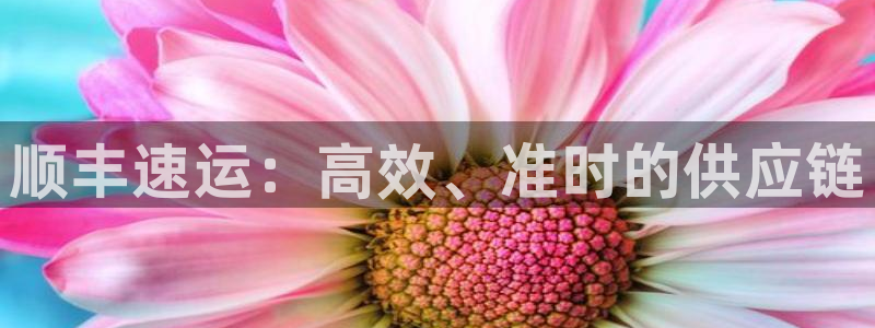 旺财28连接：顺丰速运：高效、准时的