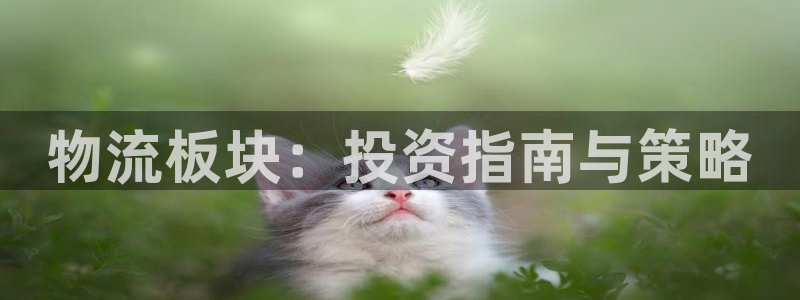 旺财28大神预测：物流板块：投资指南