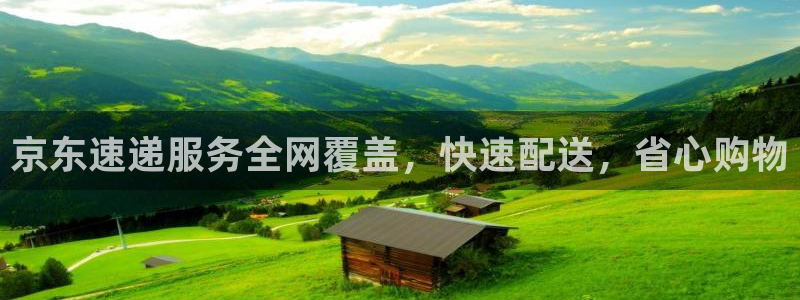 pc旺财28怎么注册：京东速递服务全