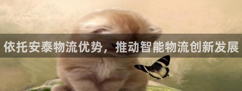 旺财28官网入口pcios
