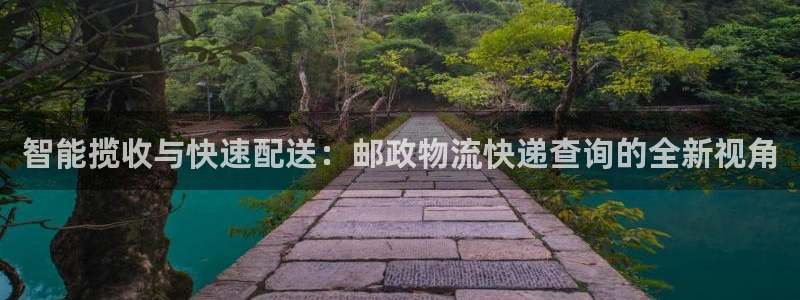 旺财28加拿大技巧