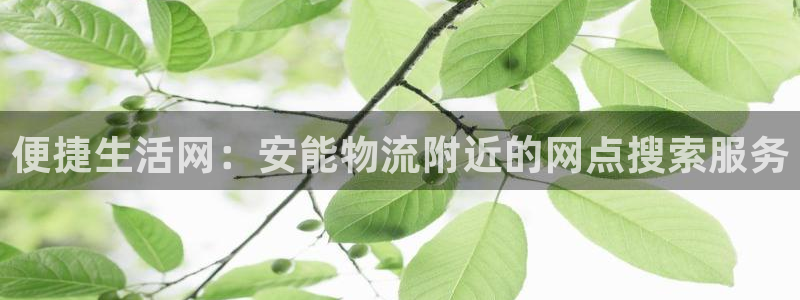 旺财28注册用户名是什么：便捷生活网