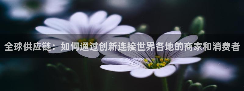 旺财28app官网少林足球：全球供应