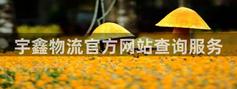 旺财28是干嘛的：宇鑫物流官方网站查