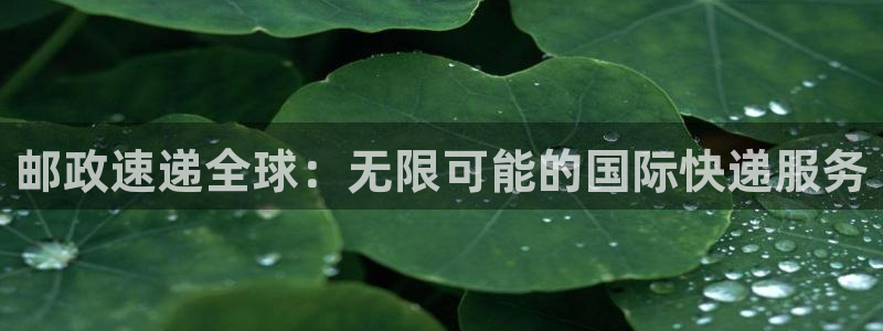 旺财28可靠吗：邮政速递全球：无限可