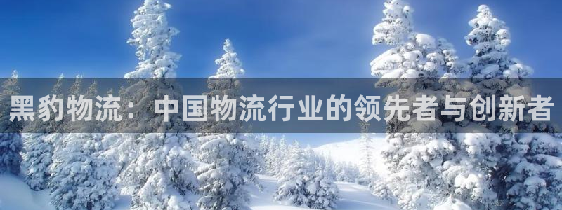 旺财28是南宫旗下的吗：黑豹物流：中