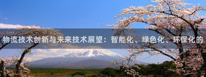 旺财28pc预测