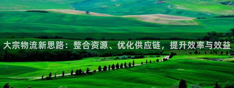 旺财28正规吗?：大宗物流新思路：整