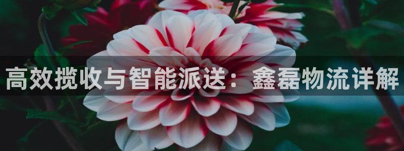 旺财28加拿大下载：高效揽收与智能派
