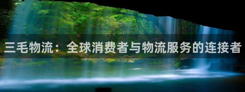 旺财28注册上限是啥意思：三毛物流：