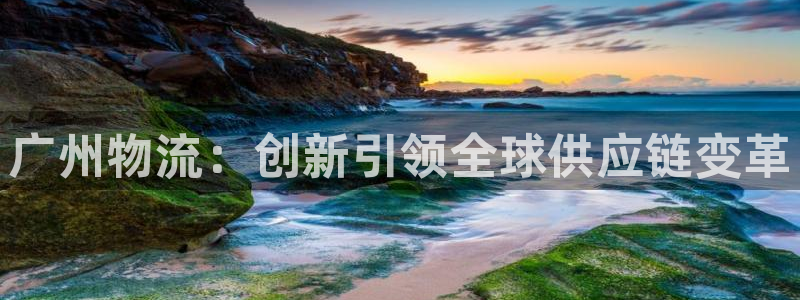 旺财28退款教程：广州物流：创新引领