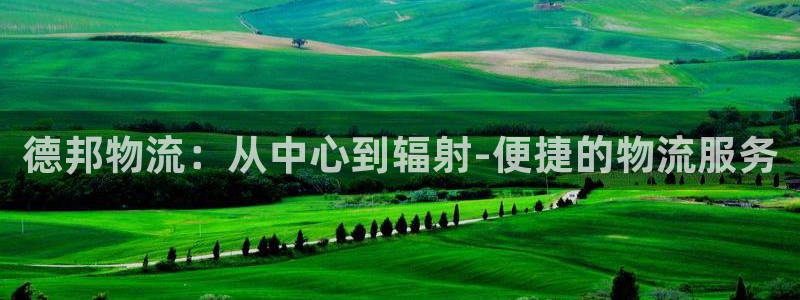 旺财28图片:德邦物流:从中心到辐射