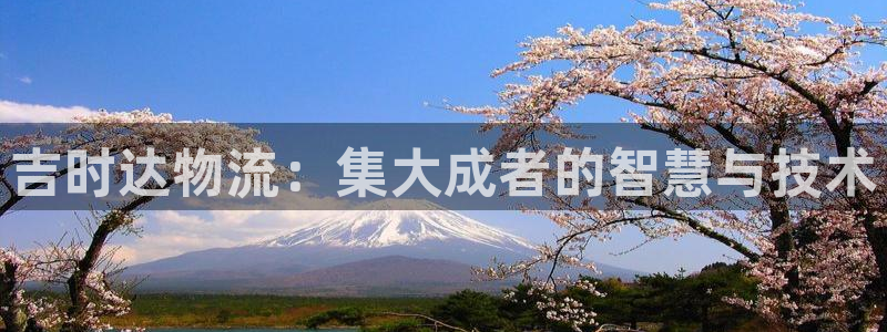 旺财28吧