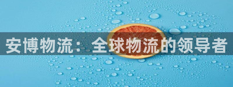 旺财28充值不到账怎么回事:安博物流
