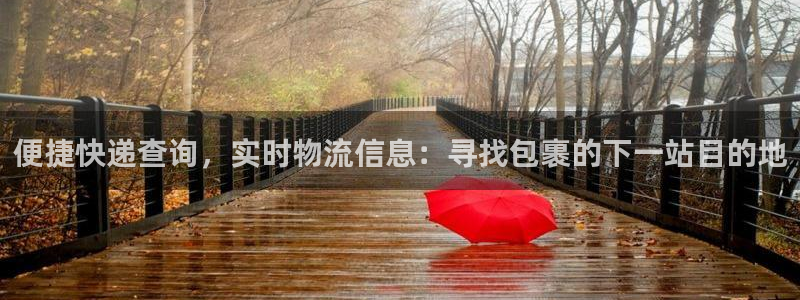 旺财28如何退款