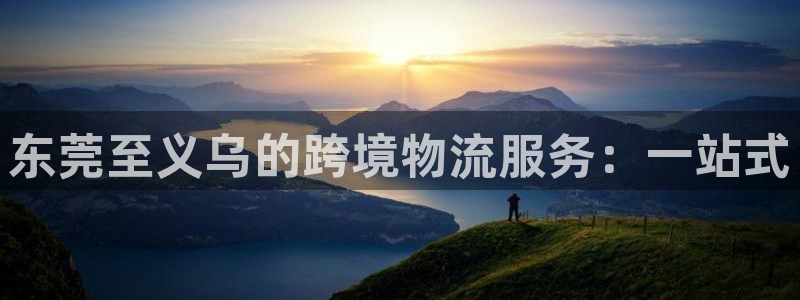 旺财28app能退款吗：东莞至义乌的跨境物流服务：一站式