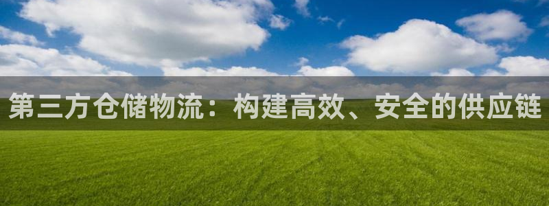 旺财28黑钱:第三方仓储物流:构建高