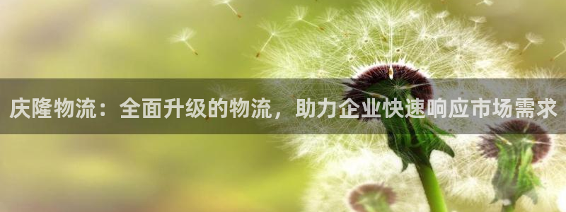 旺财28充值不处理会怎么样