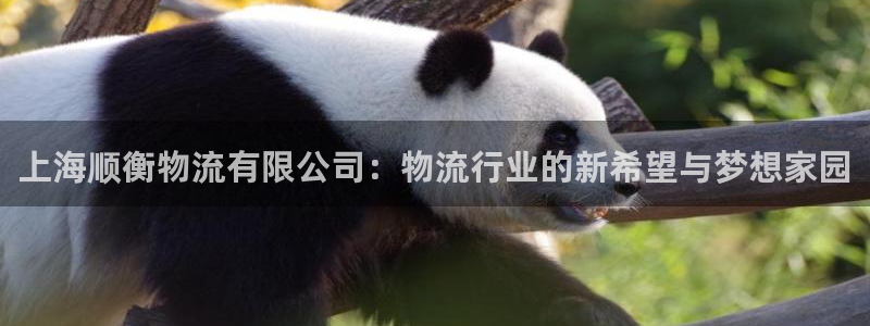 旺财28ccm官网版:上海顺衡物流有