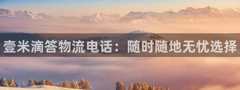 旺财28官网下载加拿大