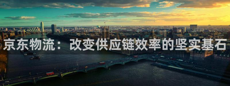 旺财28官网多少:京东物流:改变供应
