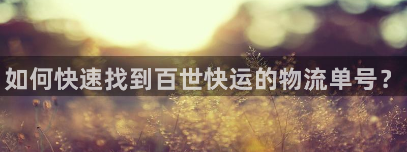 旺财28推广链接是多少:如何快速找到