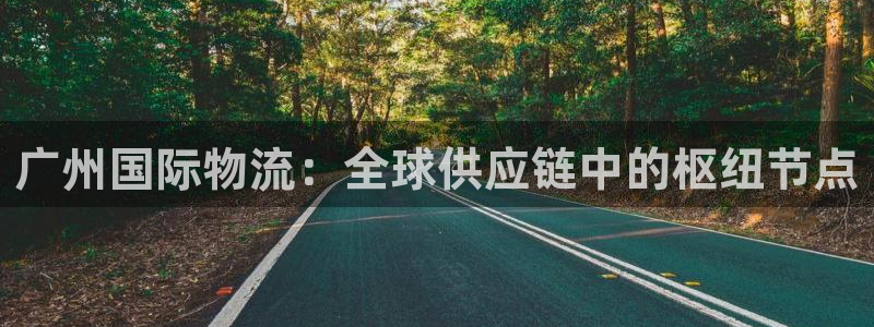 旺财28下载链接是多少:广州国际物流