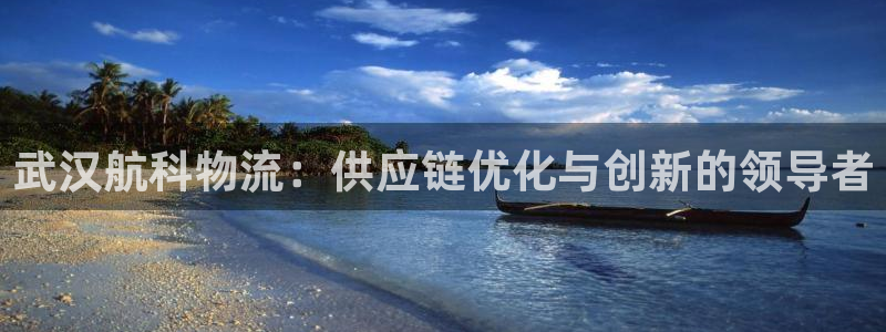 旺财28麻将胡了