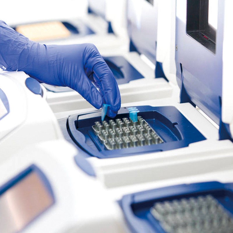 荧光定量PCR 荧光定量PCR