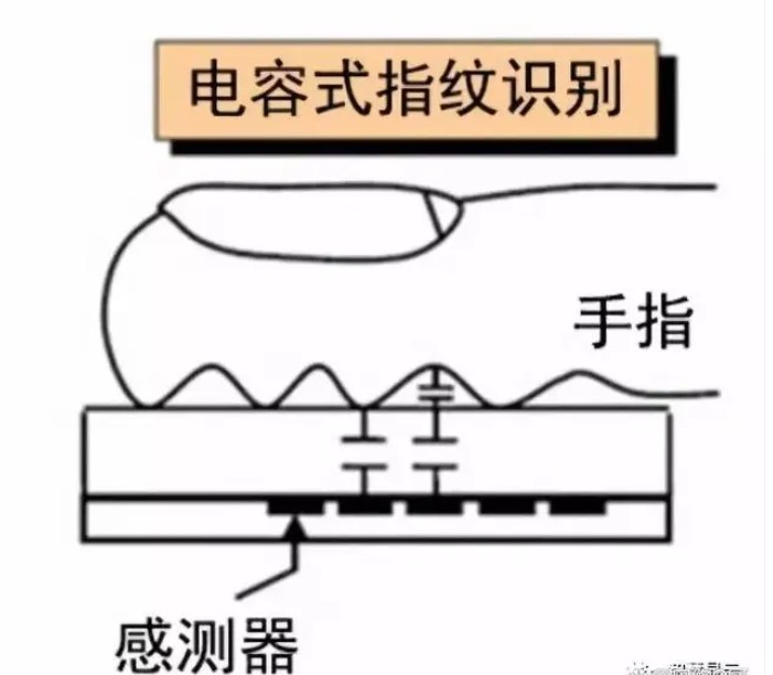 电容式指纹鉴别 电容式指纹鉴别