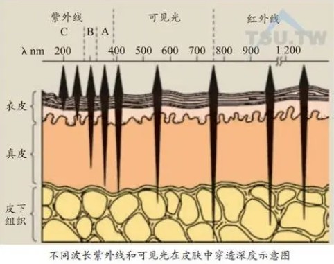 激光美容波长对皮肤危险最幼 激光美容波长对皮肤危险最幼
