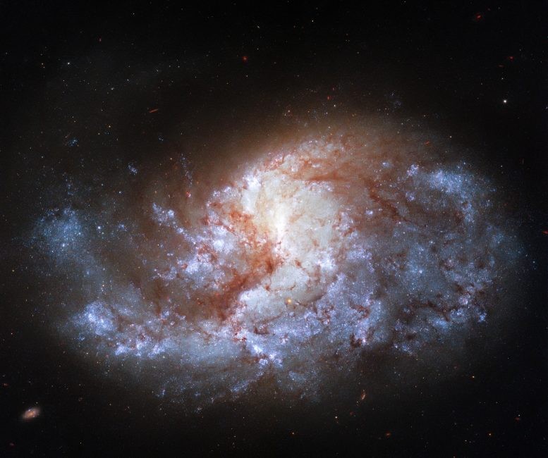 棒旋星系NGC1385图像2