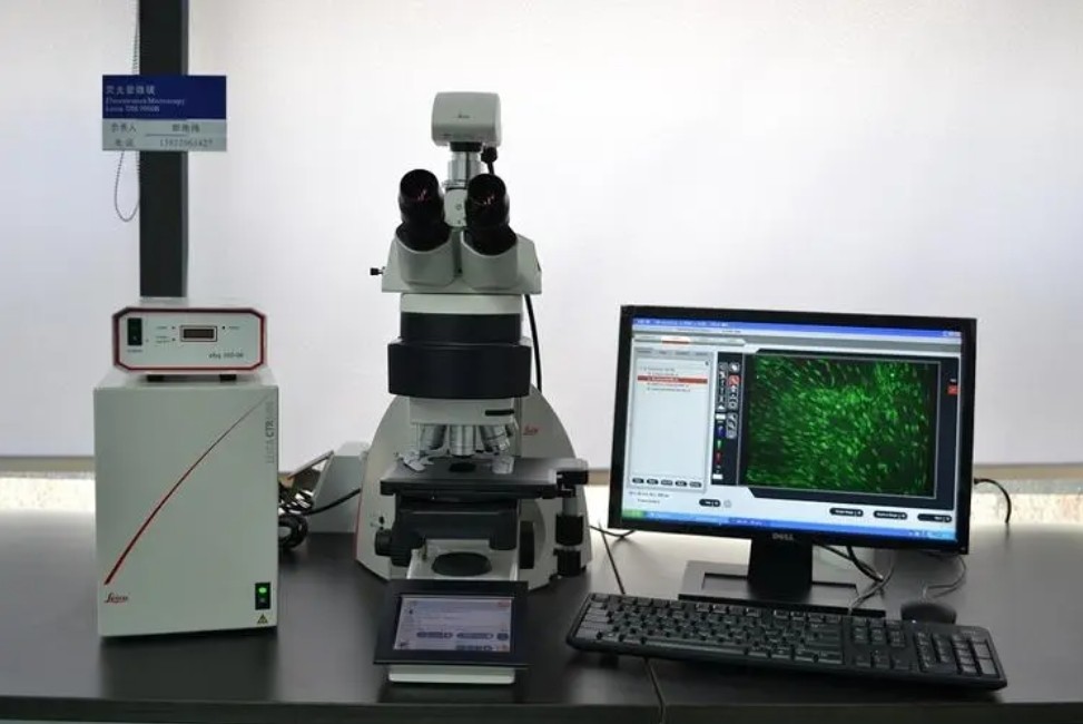 滤光片 荧鲜明微镜的道理与利用