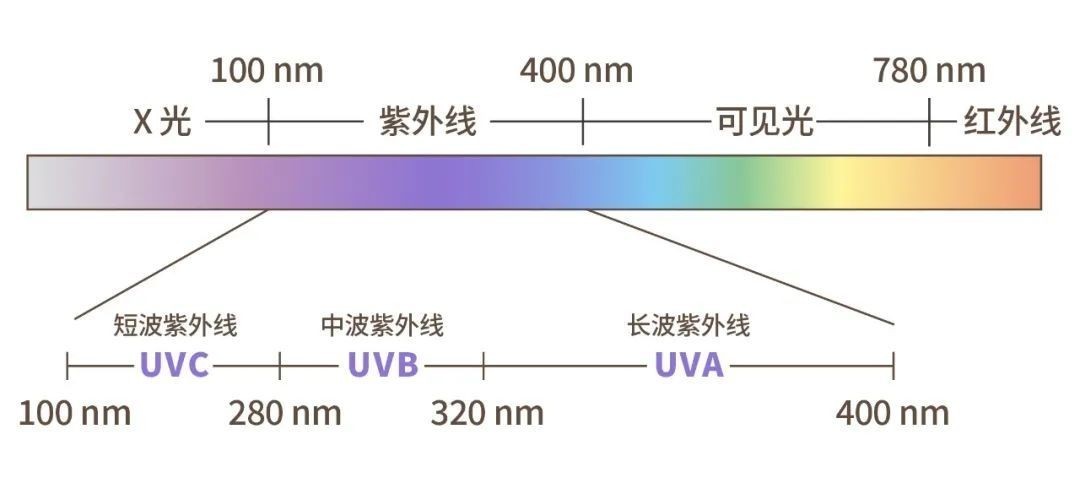 滤光片 紫表光及其用处