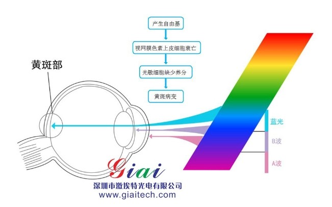为什么蓝光对人体健康有风险
