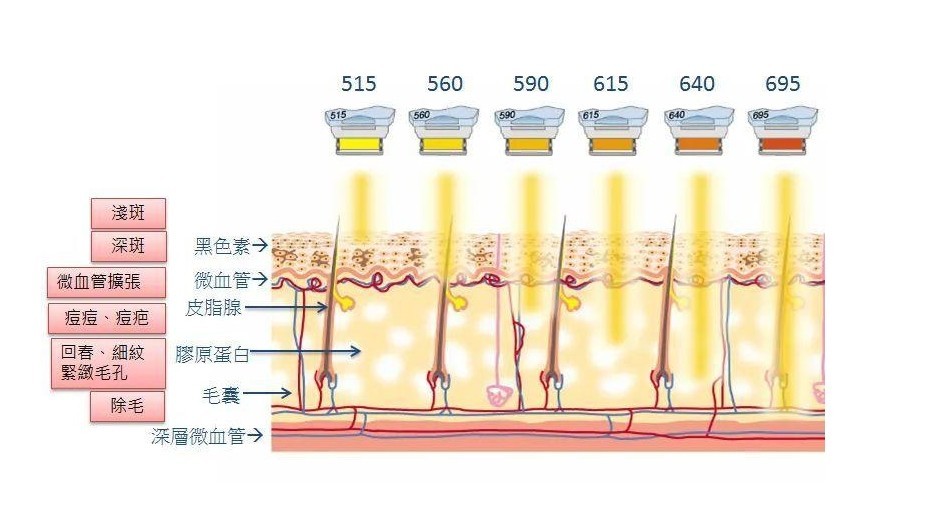 分歧波段对皮肤的作用