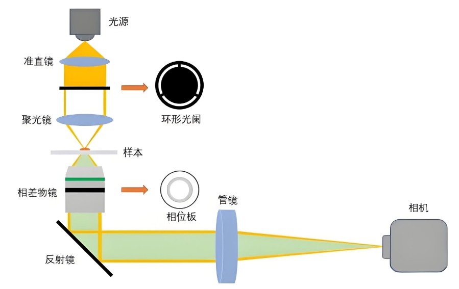 主题光学元件