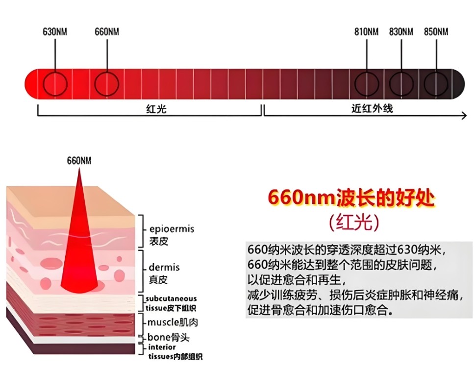 滤光片 660nm对人体皮肤的作用