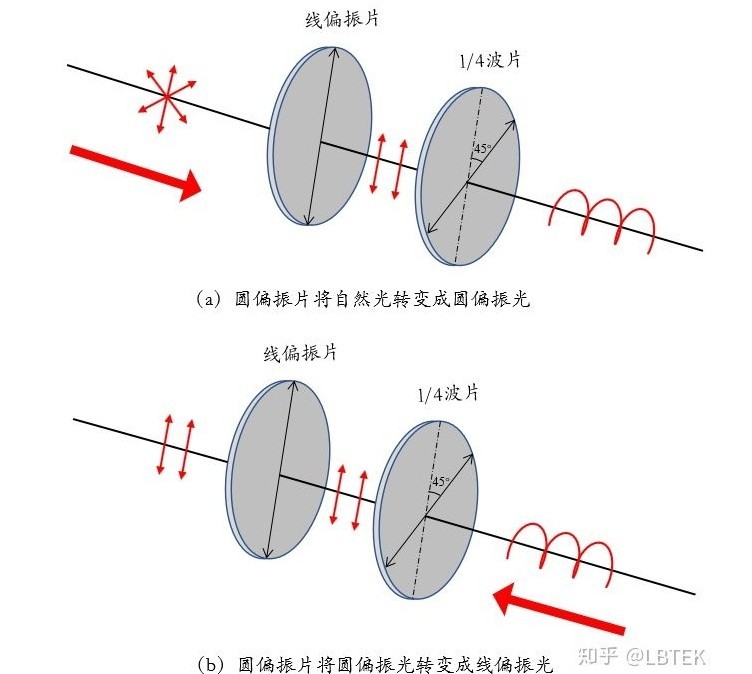 偏振片道理图