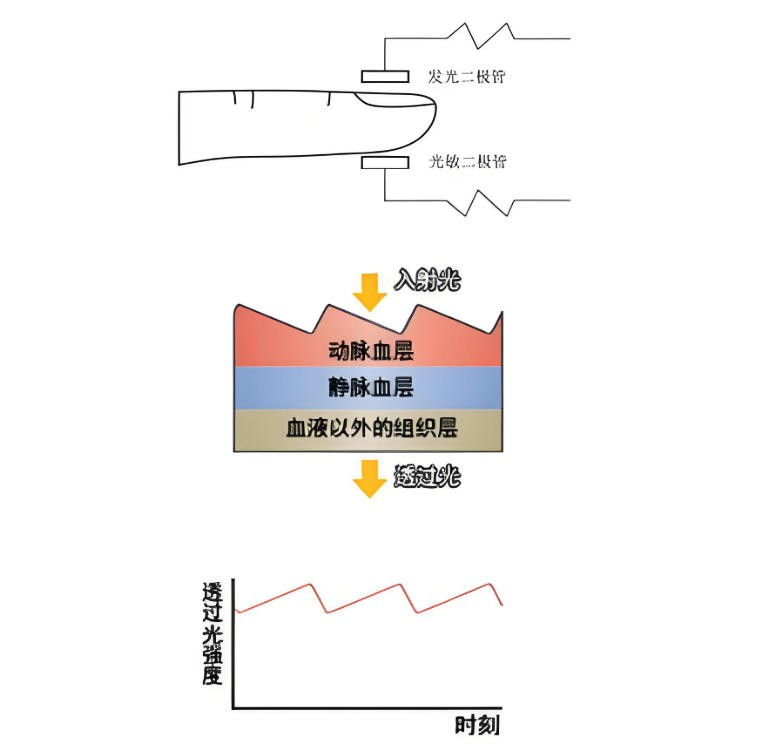 脉搏血氧仪简介与光学道理< 脉搏血氧仪简介与光学道理<