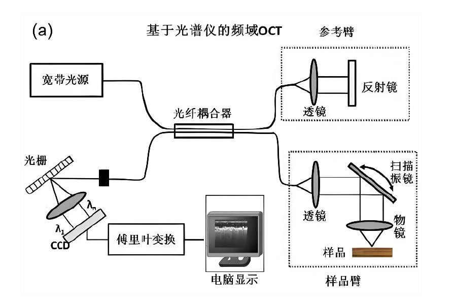 OCT的根基工作道理图