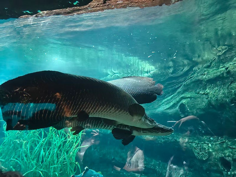 滤光片