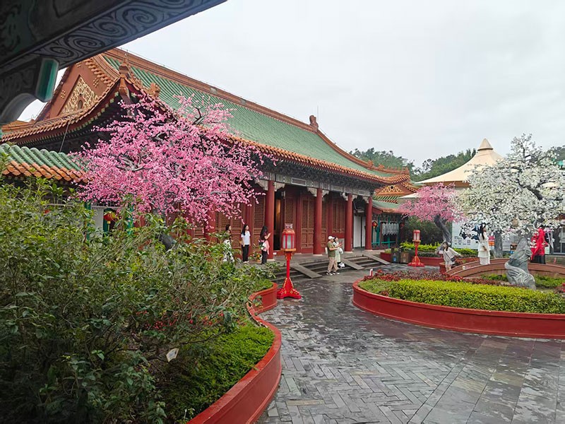 滤光片