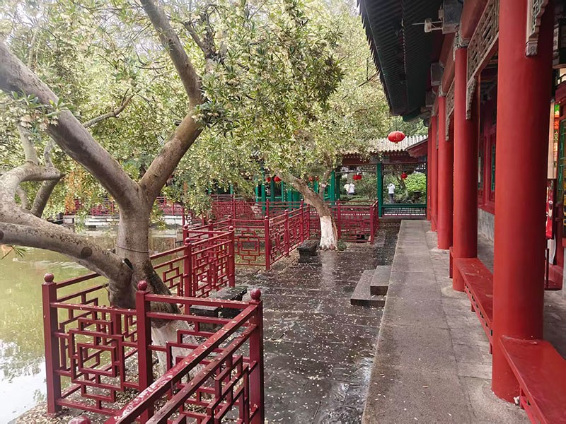滤光片