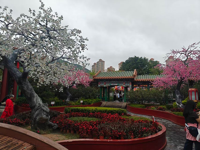 滤光片