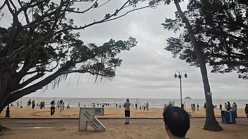 滤光片