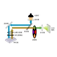 什么是荧光定量PCR、数字PCR？