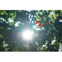 一文带你相识镜头眩光以及若何预防